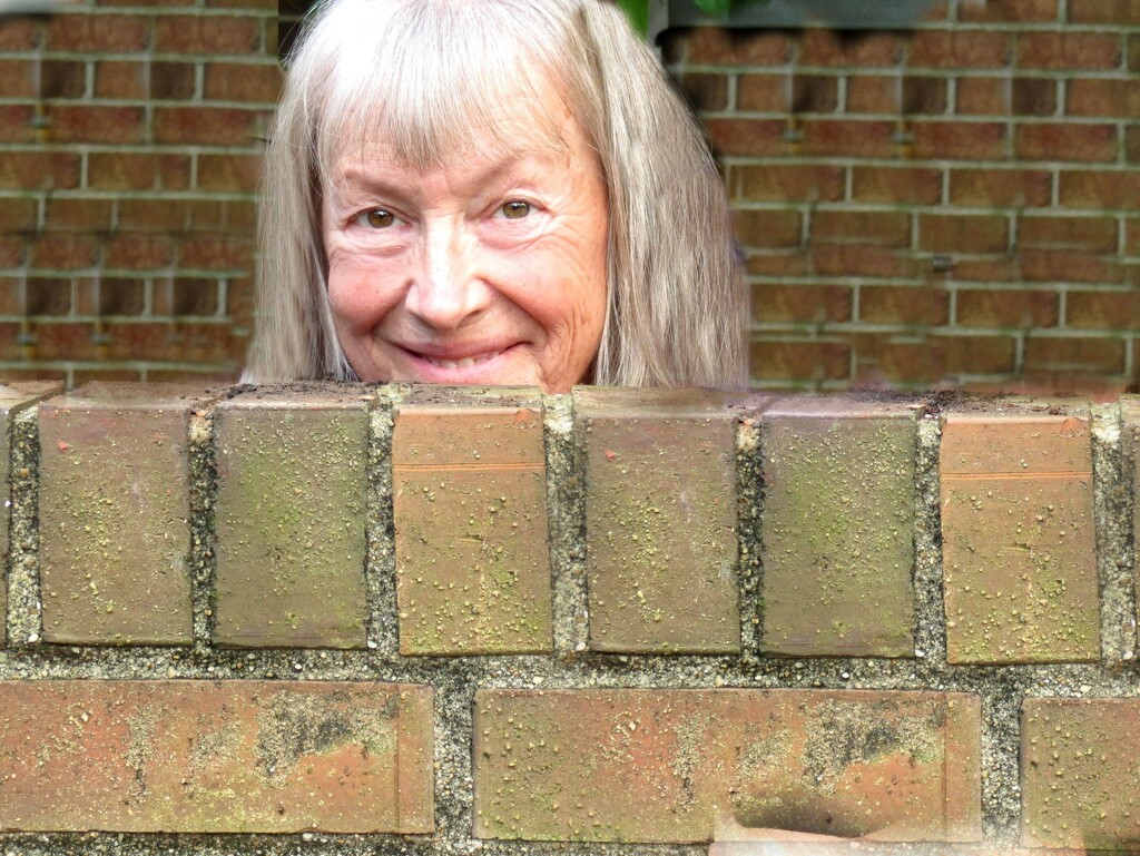 Between the Bricks by grammyn