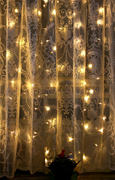 9th Dec 2022 - fairy curtain lights
