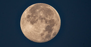 9th Dec 2022 - One More Moon Shot!