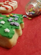 9th Dec 2022 - Christmas Cookies