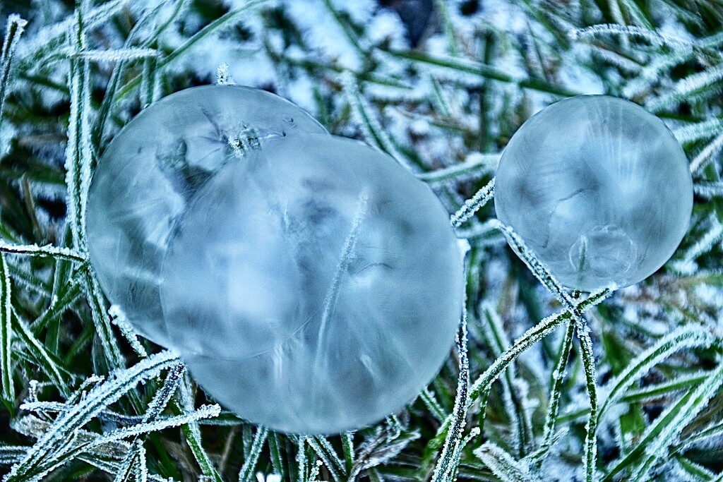 Frosty bubbles by wakelys