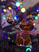 9th Dec 2022 - Christmas Cat