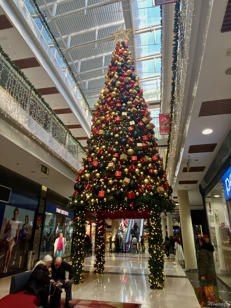 Christmas tree by monicac