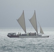 10th Dec 2022 - This vessel is Te Mana  O  Te Moana ( the spirit of the ocean)