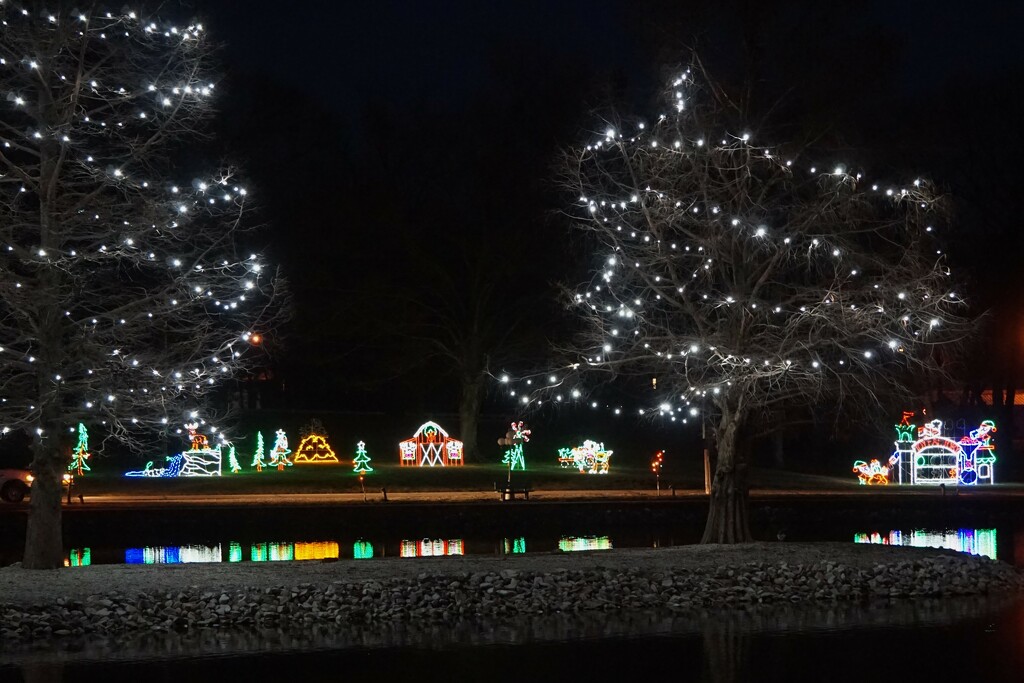 Christmas lights at the city park by tunia