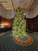 10th Dec 2022 - Oh Christmas Tree
