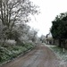 Frosty Lane by arkensiel