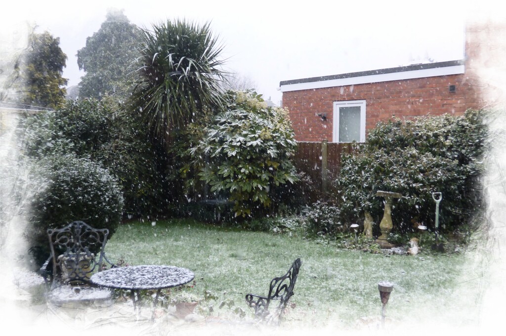 Just a splattering of snow!  by beryl