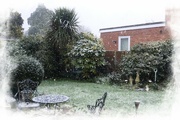 12th Dec 2022 - Just a splattering of snow! 