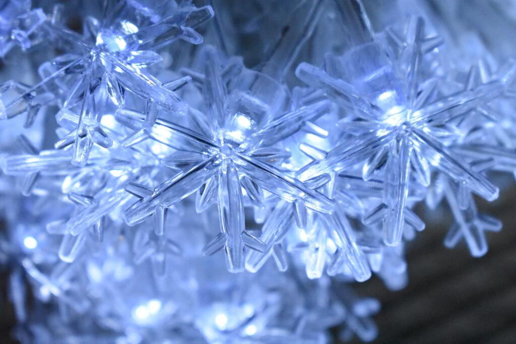Electric snowflakes by dianemhall