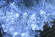 5th Dec 2022 - Electric snowflakes