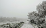 11th Dec 2022 - Walthamstow winter wonderland 