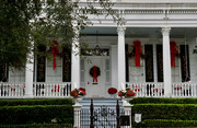 15th Dec 2022 - Christmas in New Orleans
