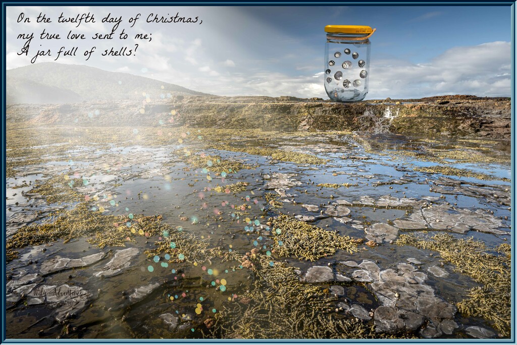 On the twelfth day of Christmas  by pusspup