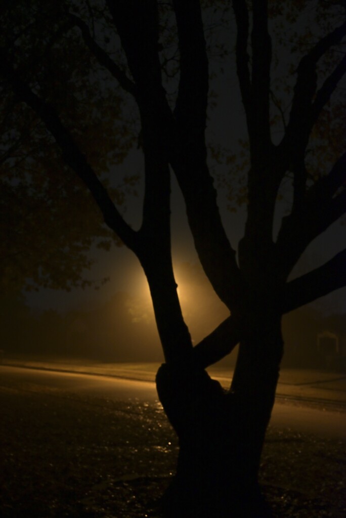 Foggy Night by metzpah