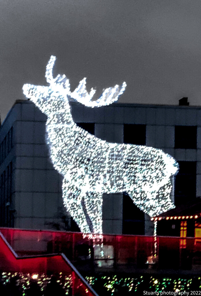 Christmas reindeer by stuart46