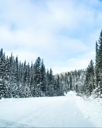 12th Dec 2022 - The road through the snow-covered forest.