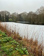 12th Dec 2022 - Yesterday’s frozen lake, from the other side 