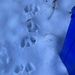 More Tracks in the Snow by spanishliz