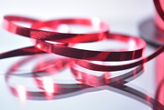 12th Dec 2022 - Scarlet Ribbons