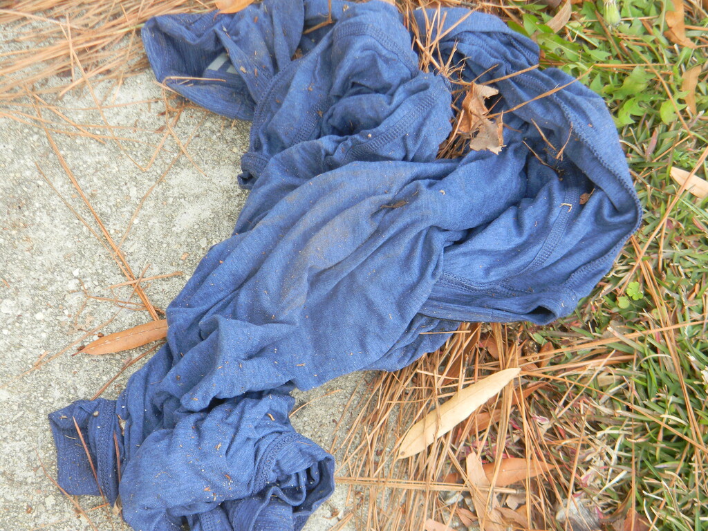 Blue Pants on Sidewalk  by sfeldphotos