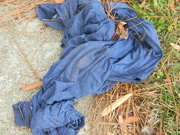 12th Dec 2022 - Blue Pants on Sidewalk 