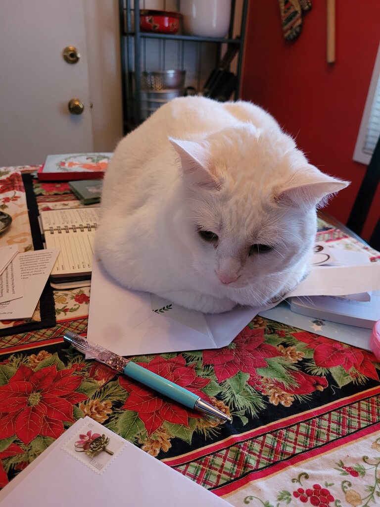 Christmas card helper by scoobylou
