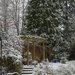A Winter view of our garden by anitaw