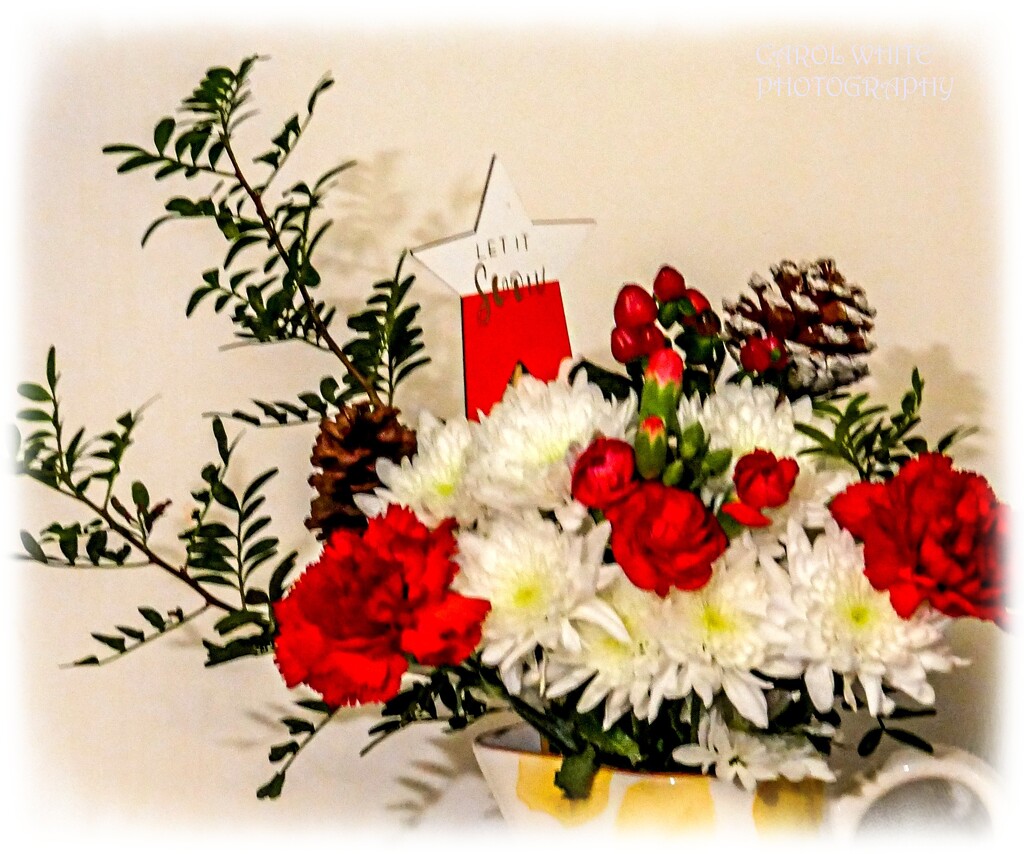 Festive Bouquet by carolmw