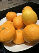 13th Dec 2022 - Mandarins and Meyer Lemon