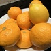 Mandarins and Meyer Lemon by shutterbug49