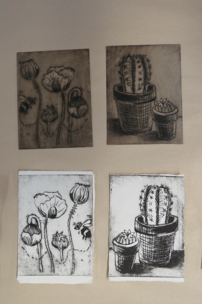 drypoint engraving on plastic  by kali66