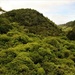 Zealandia - a last view of the land that time forgot by 365jgh