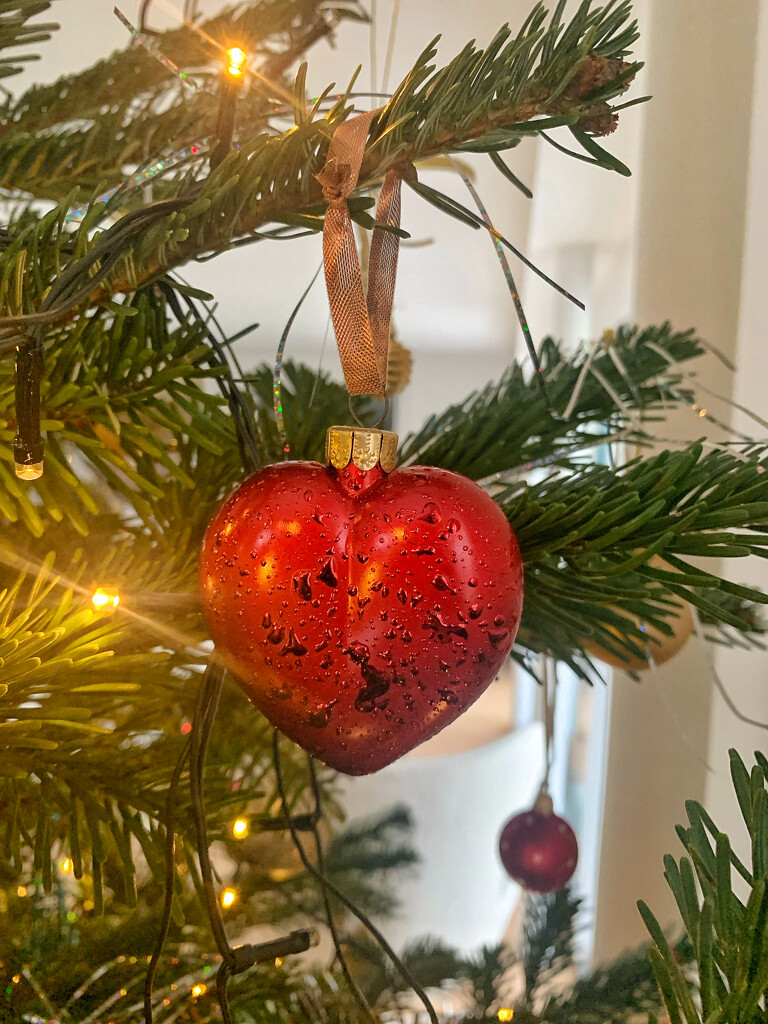 Red heart in my tree.  by cocobella