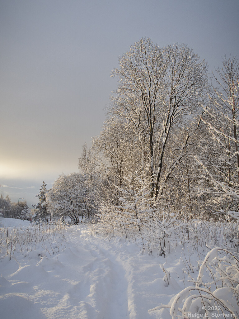 Winter wonderland by helstor365