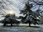 14th Dec 2022 - Still Chilly in Kent 