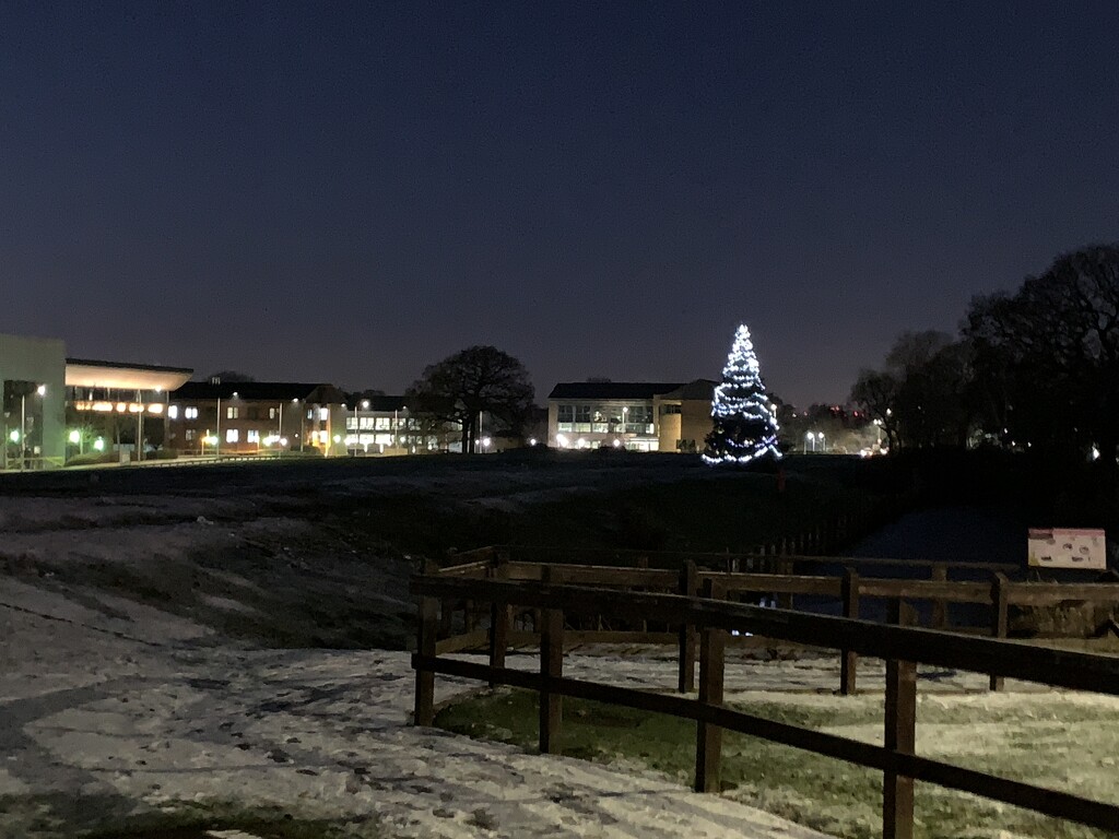 Christmas Tree at Business Park by philm666