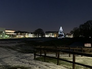10th Dec 2022 - Christmas Tree at Business Park