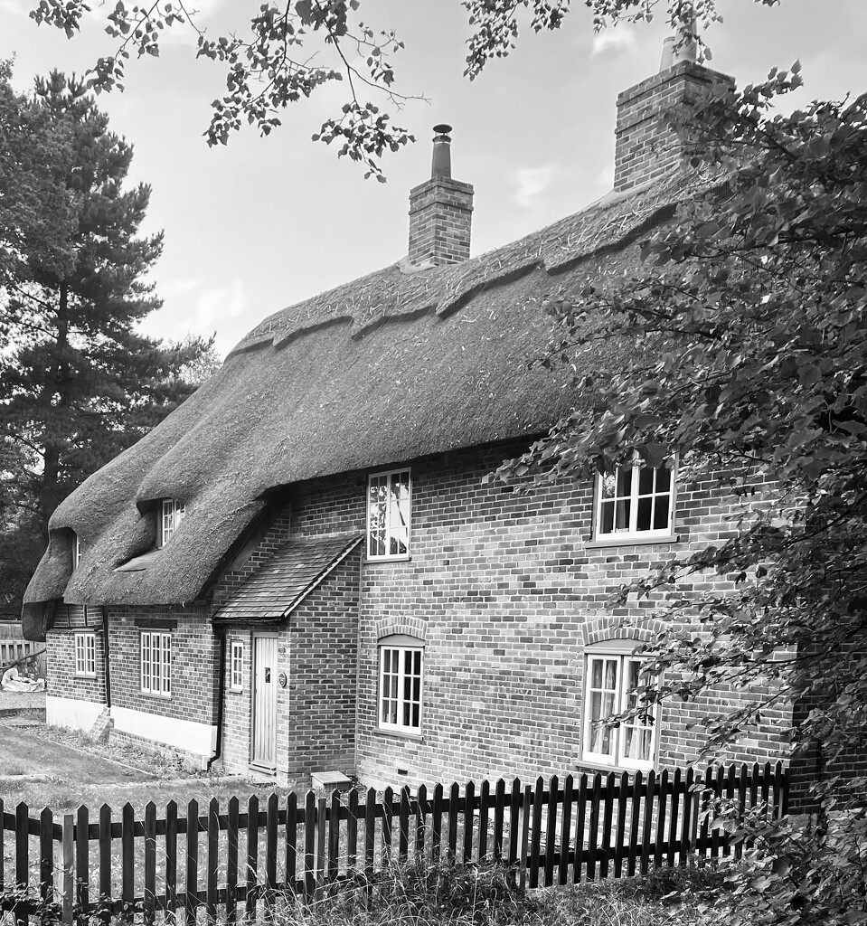 Thatched cottage by bill_gk