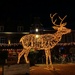 RUDOLPH by bvh