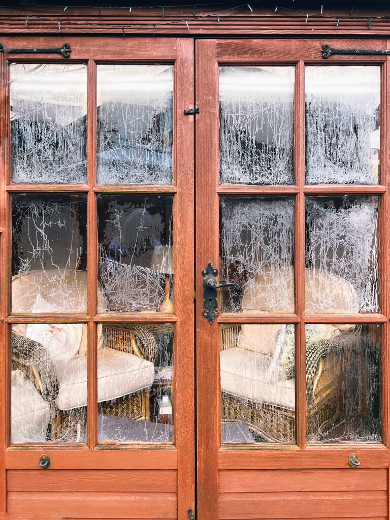 Icy windows by tinley23
