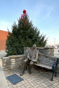 14th Dec 2022 - A Christmas tree on Main St.