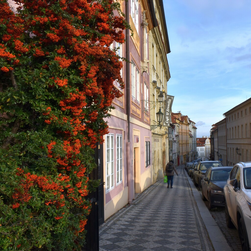 Prague street view by anitaw