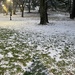 Let It Snow by lisaconrad