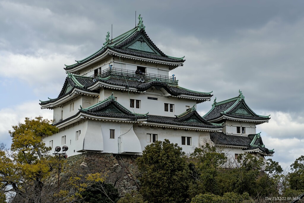Wakayama Castle by wh2021