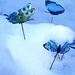 Snowing Butterflies  by rensala