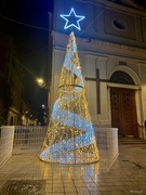 15th Dec 2022 - Neighborhood Christmas Tree