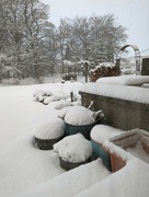 15th Dec 2022 - Still snowing.....