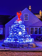 15th Dec 2022 - O Christmas Tree