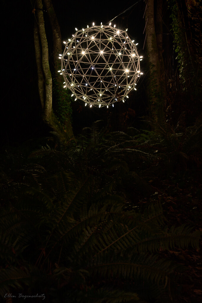 Light Globe in the Trees by theredcamera